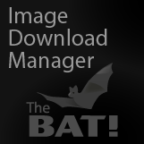 Image Download Manager