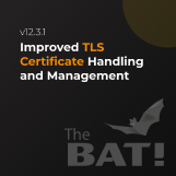 The Bat! v12.3.1 Introduces TLS 1.3 Support and Enhanced Security
